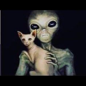 Meet your Posher, Catrinea